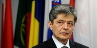 Despre Daniel Vighi, Revoluții și Solidarități