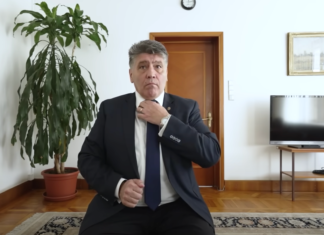 Averea parlamentarului care ar trebui să controleze serviciu secret al Internelor: 3 case, 1 apartament, 5 terenuri