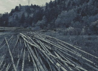 STUDIU Infracțiunile de mediu, mai profitabile decât traficul de cocaină