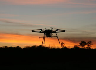 Românul care a contribuit decisiv la proiectul „bioboților”, din SUA. Gândacii-roboți, descoperirea care poate salva victimele cutremurelor de sub ruine