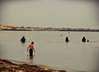 Unveiled – de-voal pentru struțul occidental