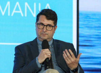 Piața de energie din România, reglementată după „un mecanism bizar, hiper-centralizat, care va crea disfuncționalități”