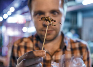 Trei mari minciuni despre folosirea insectelor în alimente, în UE