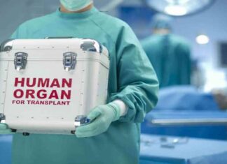EXCLUSIV PRESShub: Vând urgent organe umane. Incursiune în piața clandestină a rinichilor și ficatului de om
