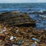 Barajul distrus în Ucraina a schimbat Marea Neagră. Efecte ecologice importante