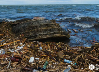 Barajul distrus în Ucraina a schimbat Marea Neagră. Efecte ecologice importante